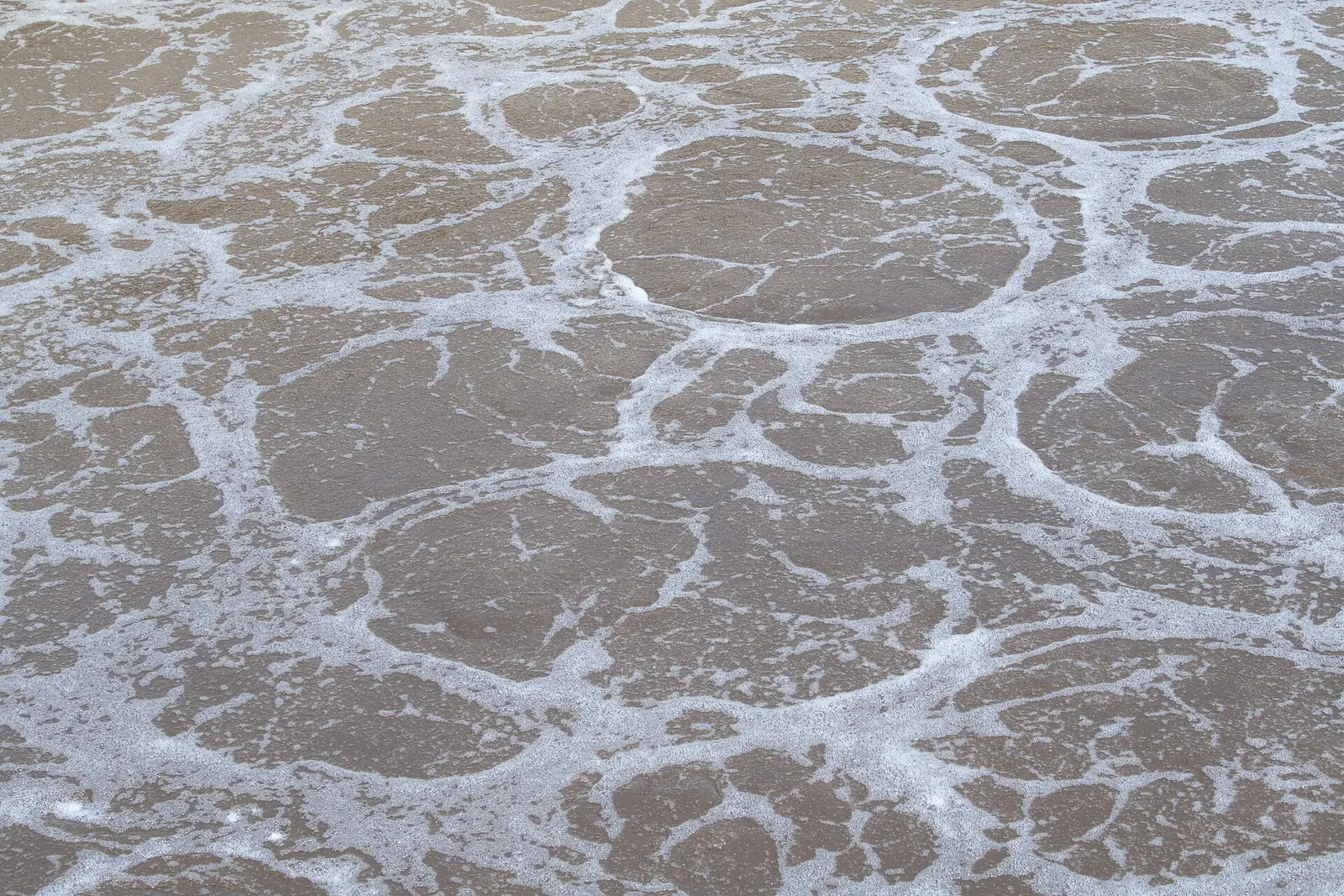 Foam on the surface of an aeration basin